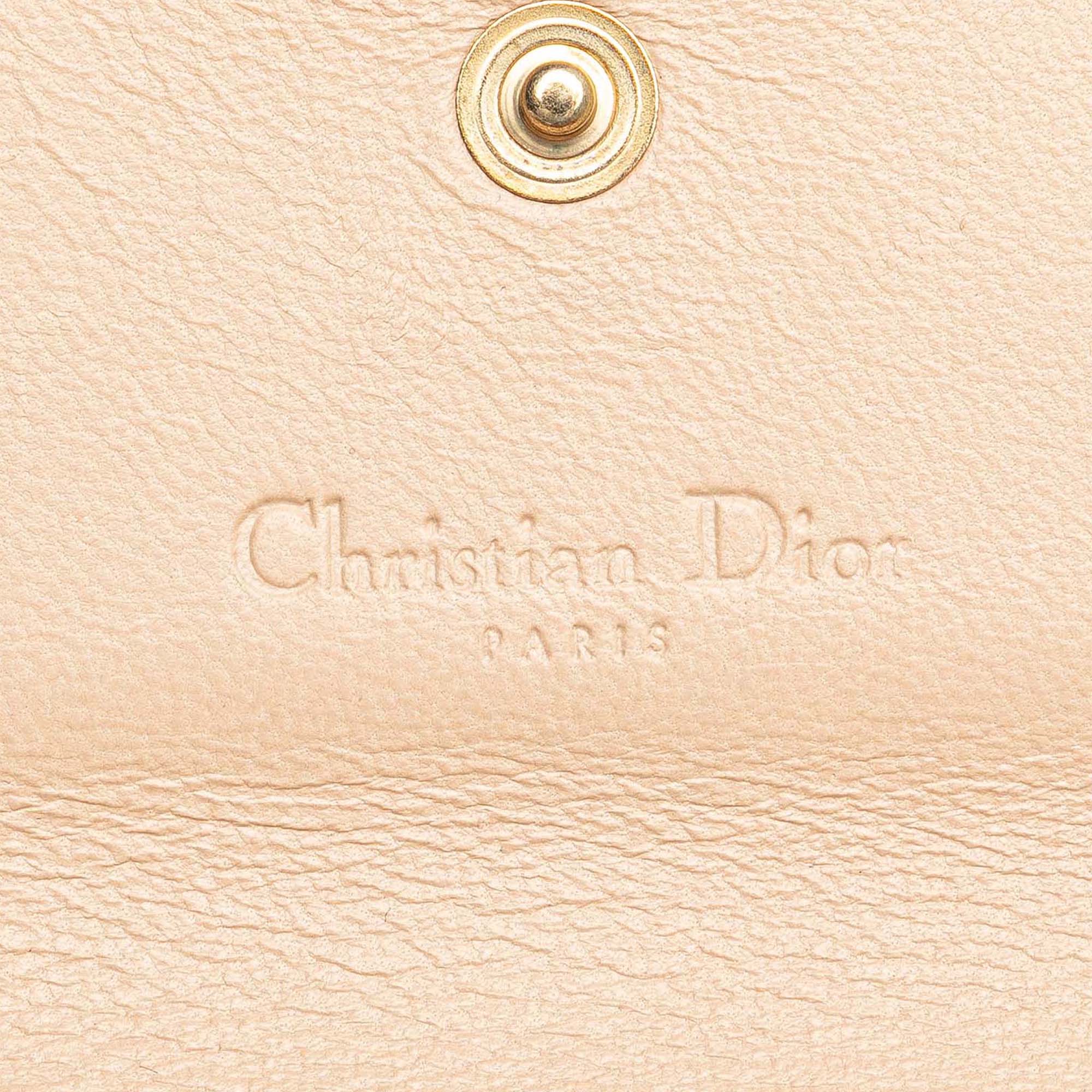 Printed Canvas Buckle Strap Flap Wallet