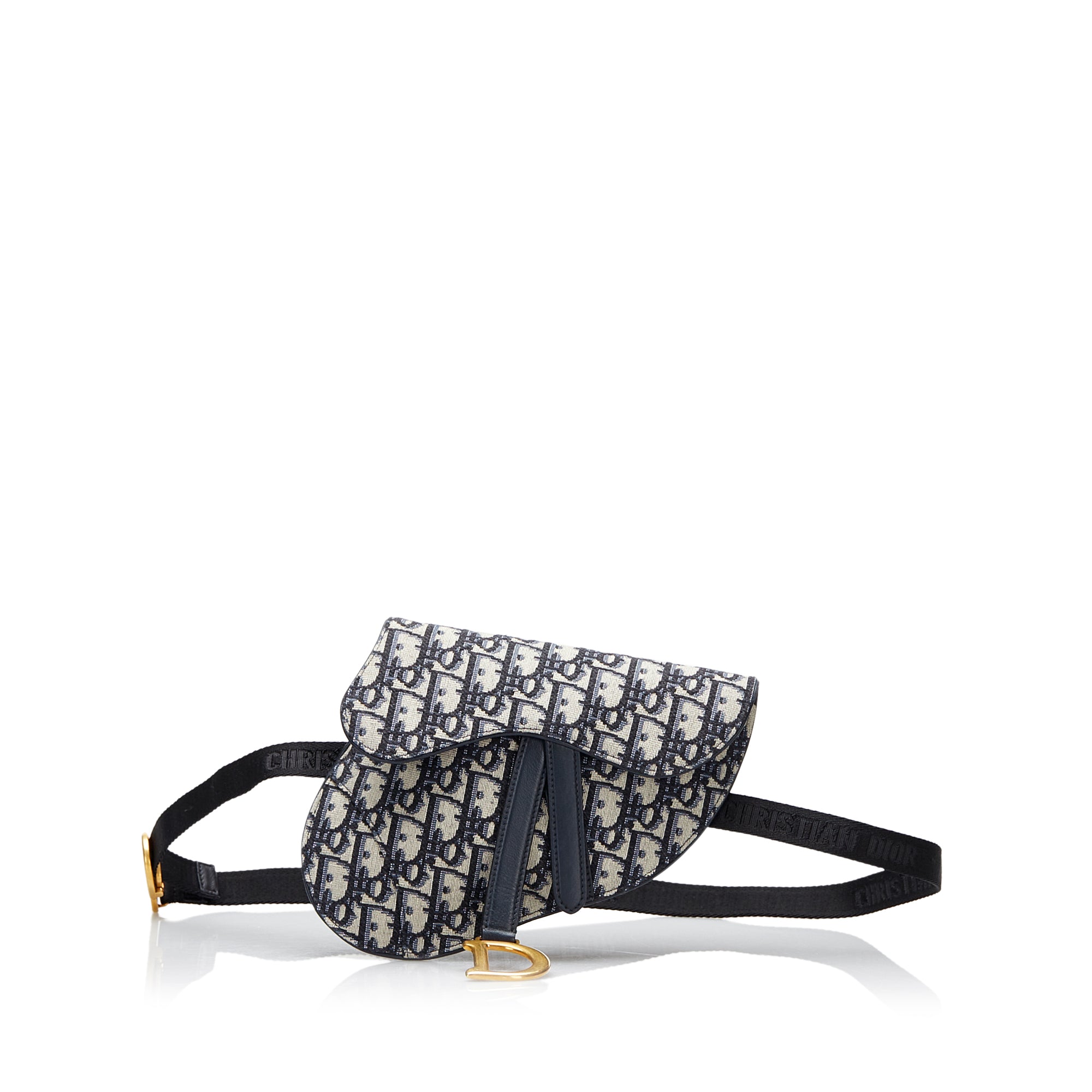 Oblique Canvas Saddle Belt Bag