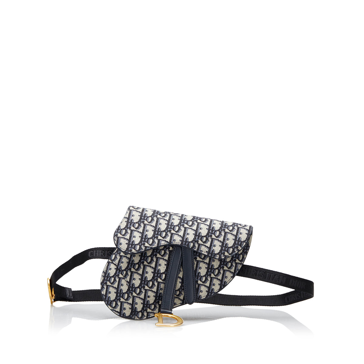 Oblique Canvas Saddle Belt Bag