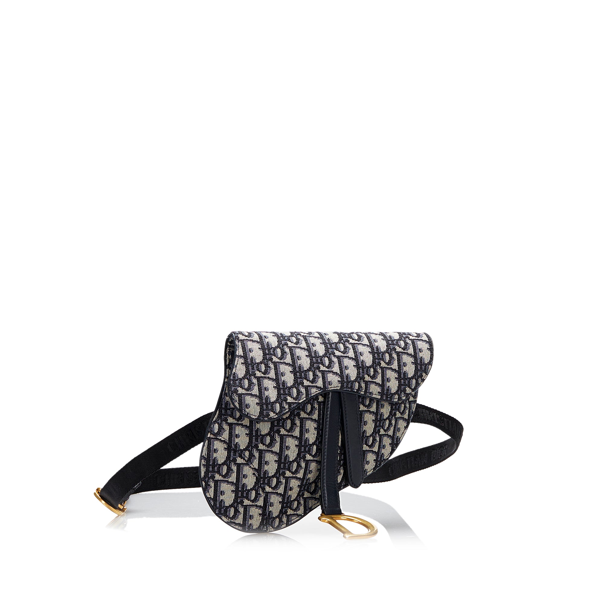 Oblique Canvas Saddle Belt Bag
