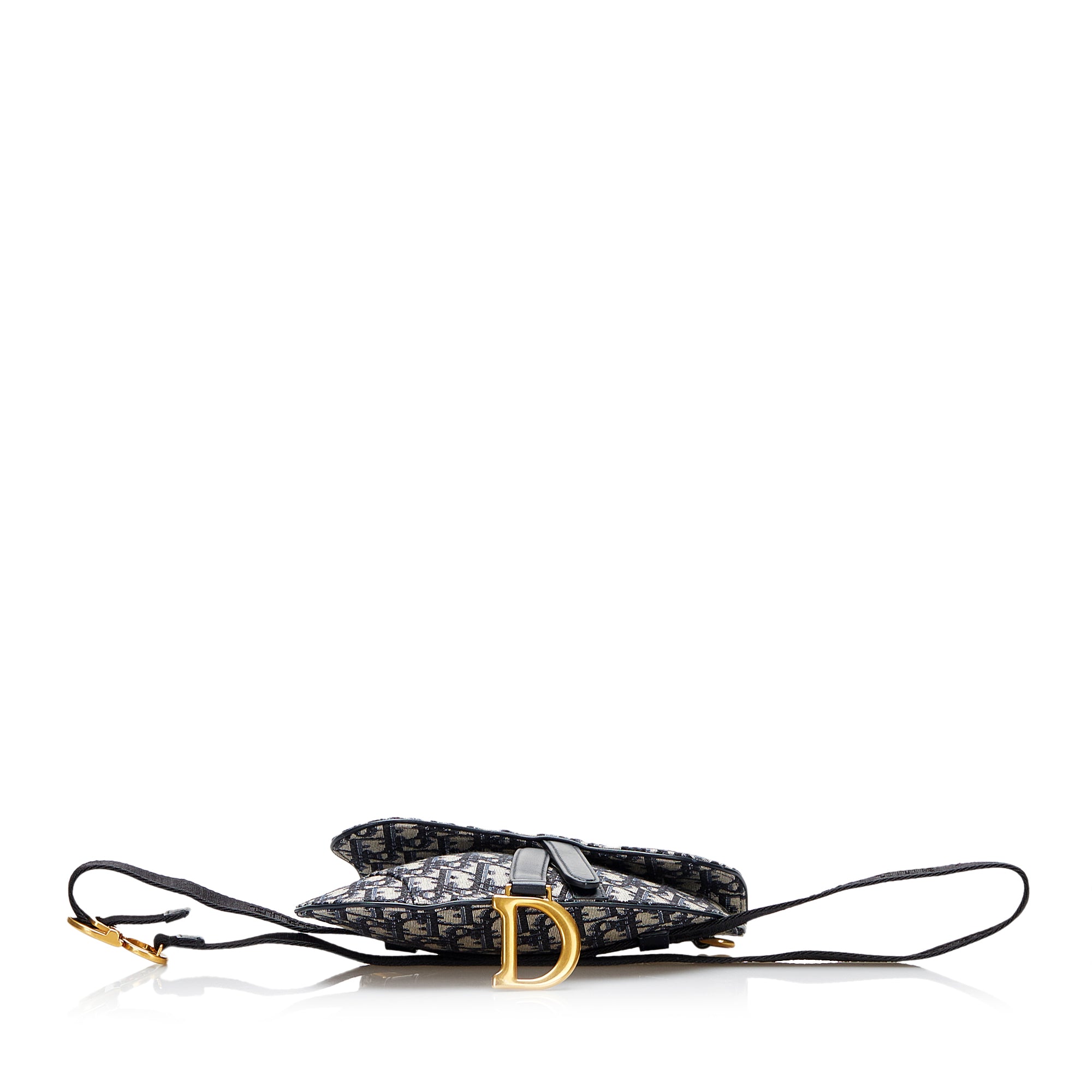 Oblique Canvas Saddle Belt Bag