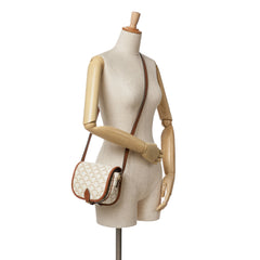 Medium Triomphe Coated Canvas Folco Crossbody