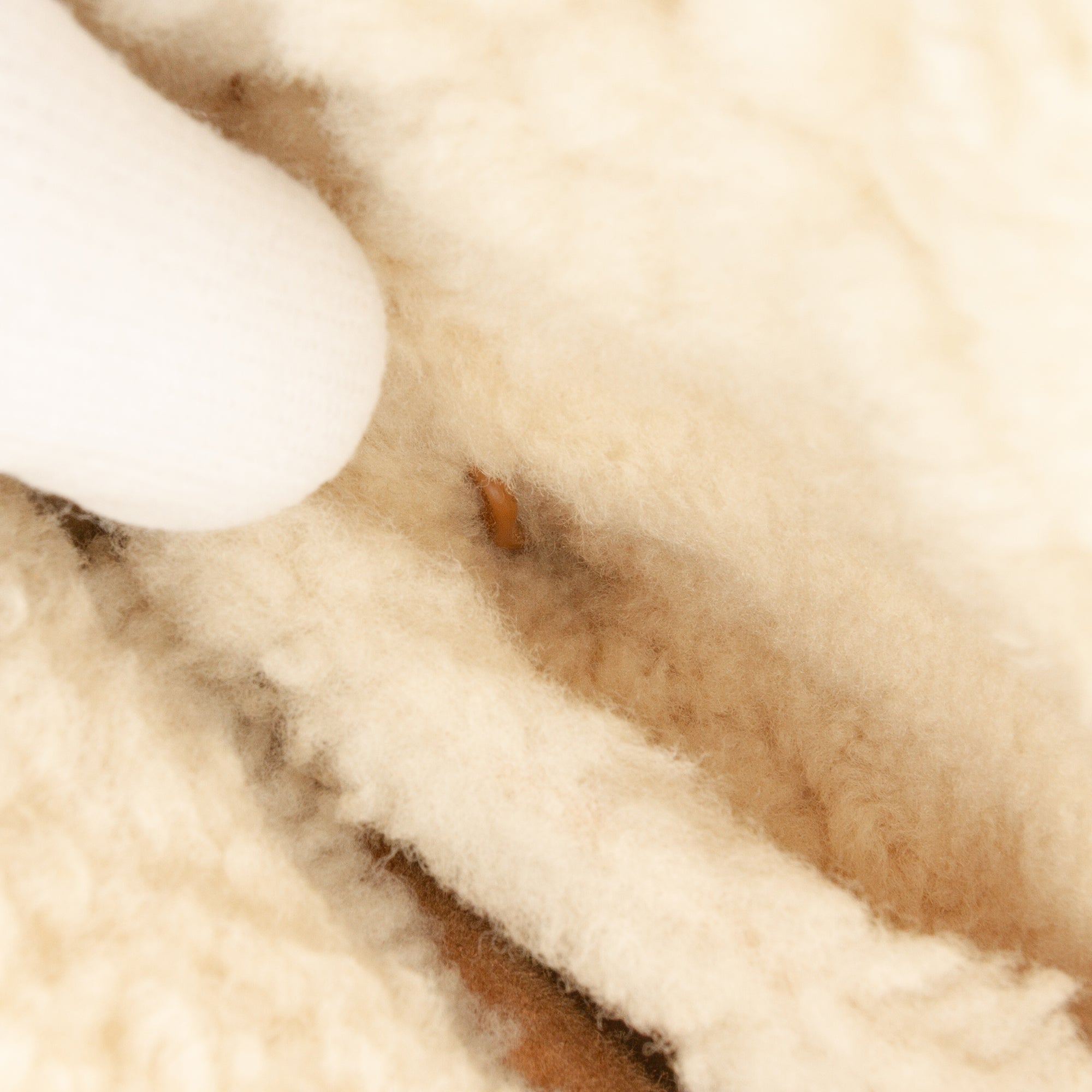 Mini Suede Cannage with Shearling Trim Lady Dior