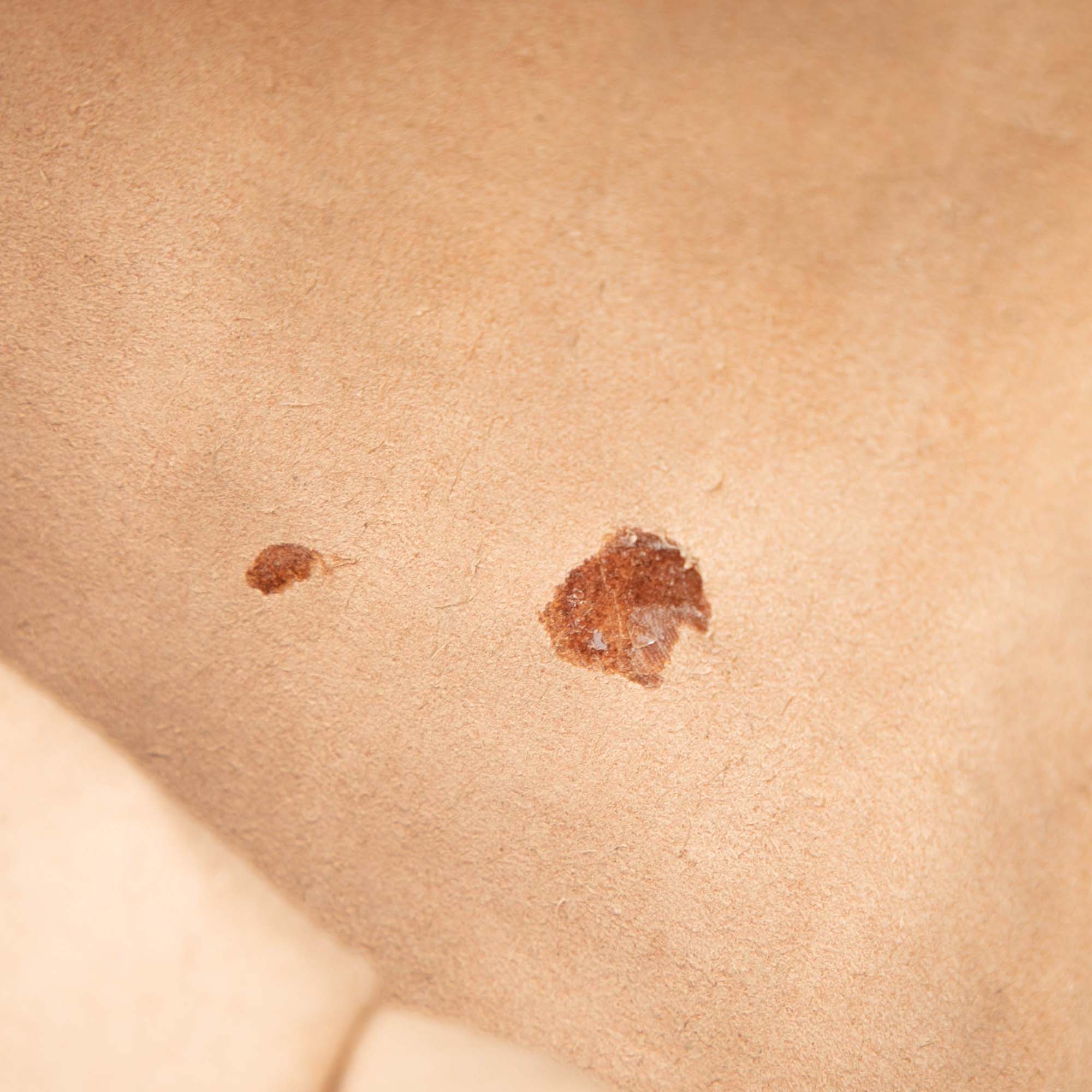 Mini GG Supreme Flora Ophidia Round Crossbody