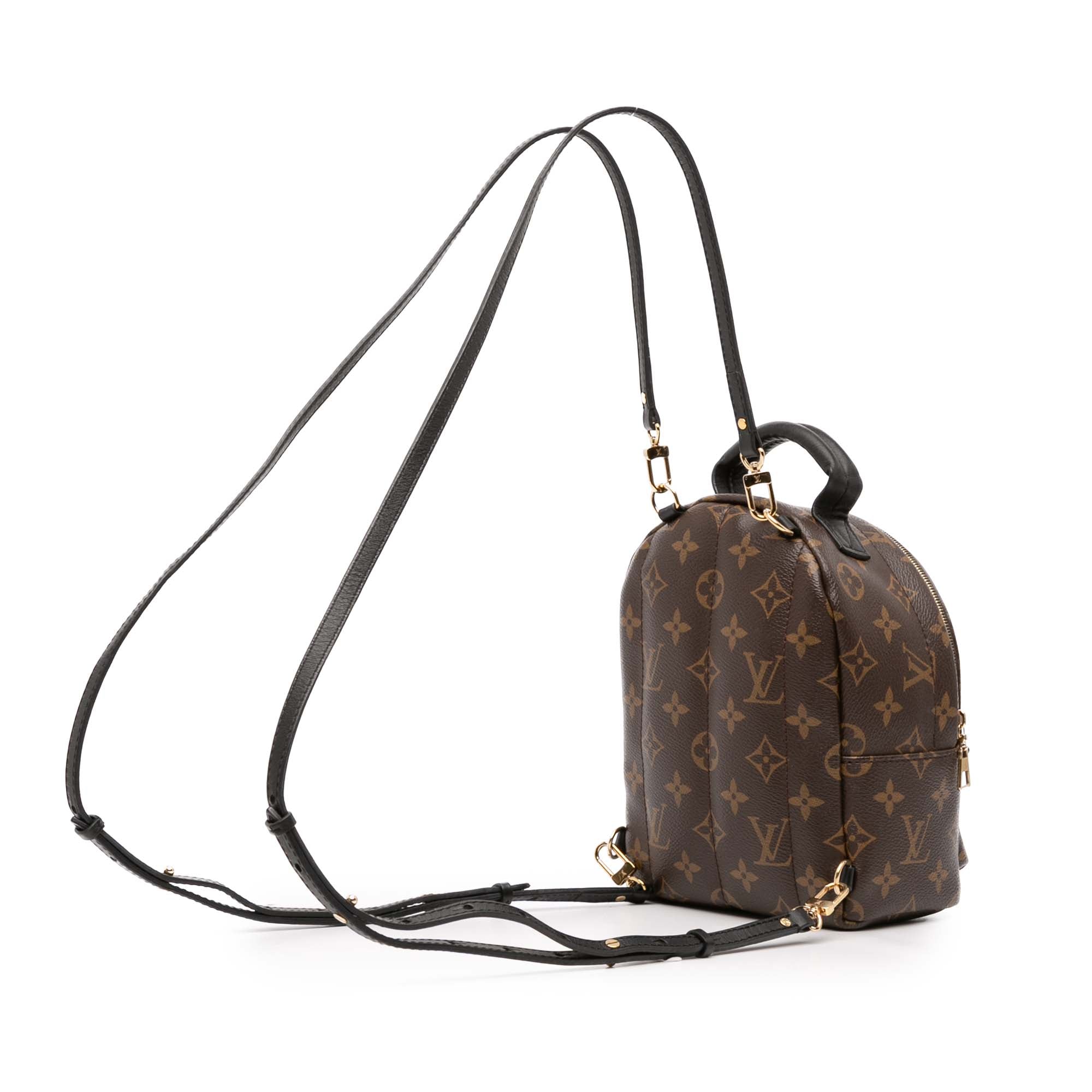 Monogram Mini Palm Springs