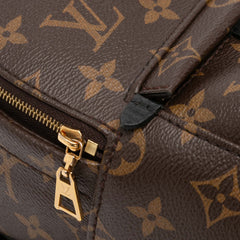 Monogram Mini Palm Springs