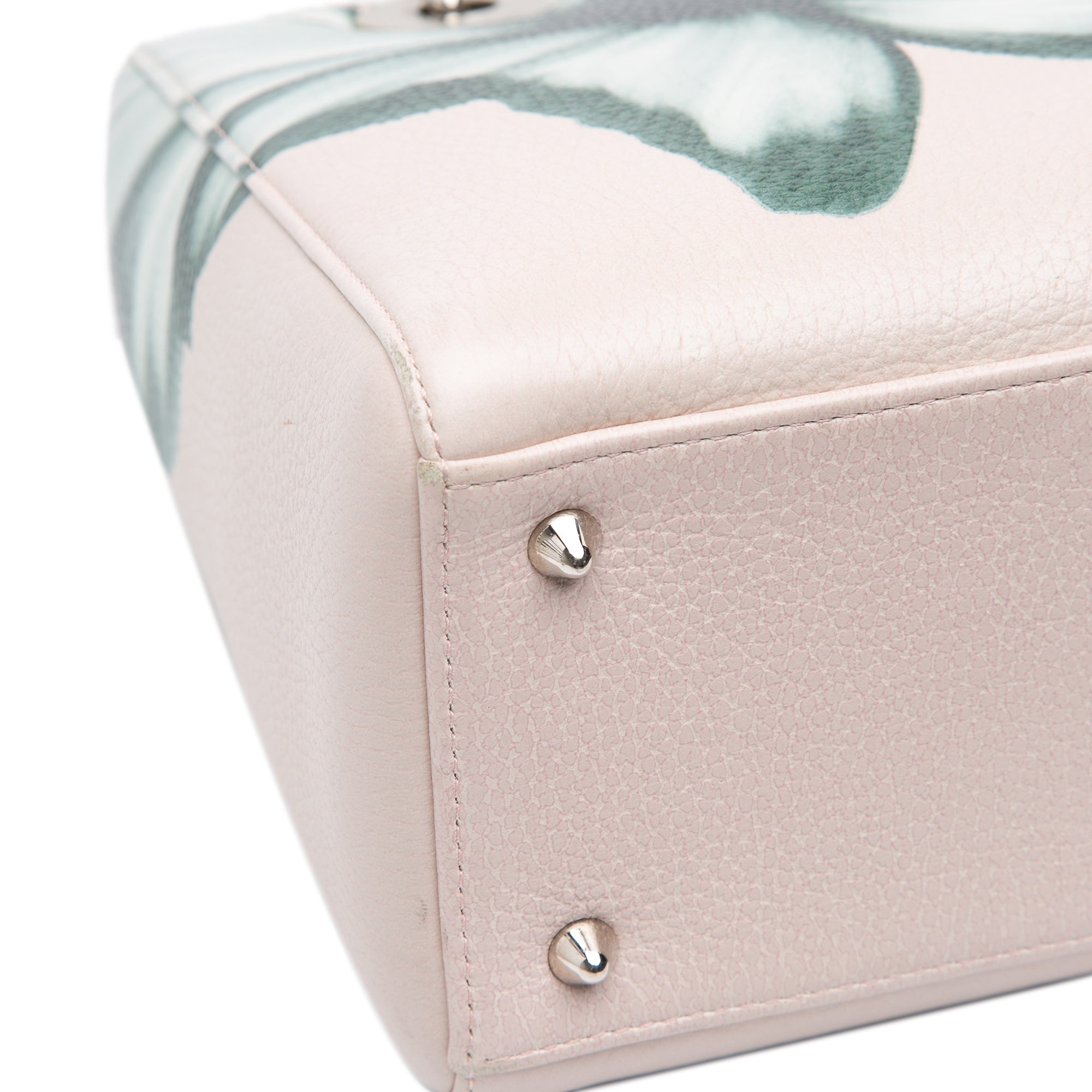 Medium Deerskin Floral Printed Lady Dior