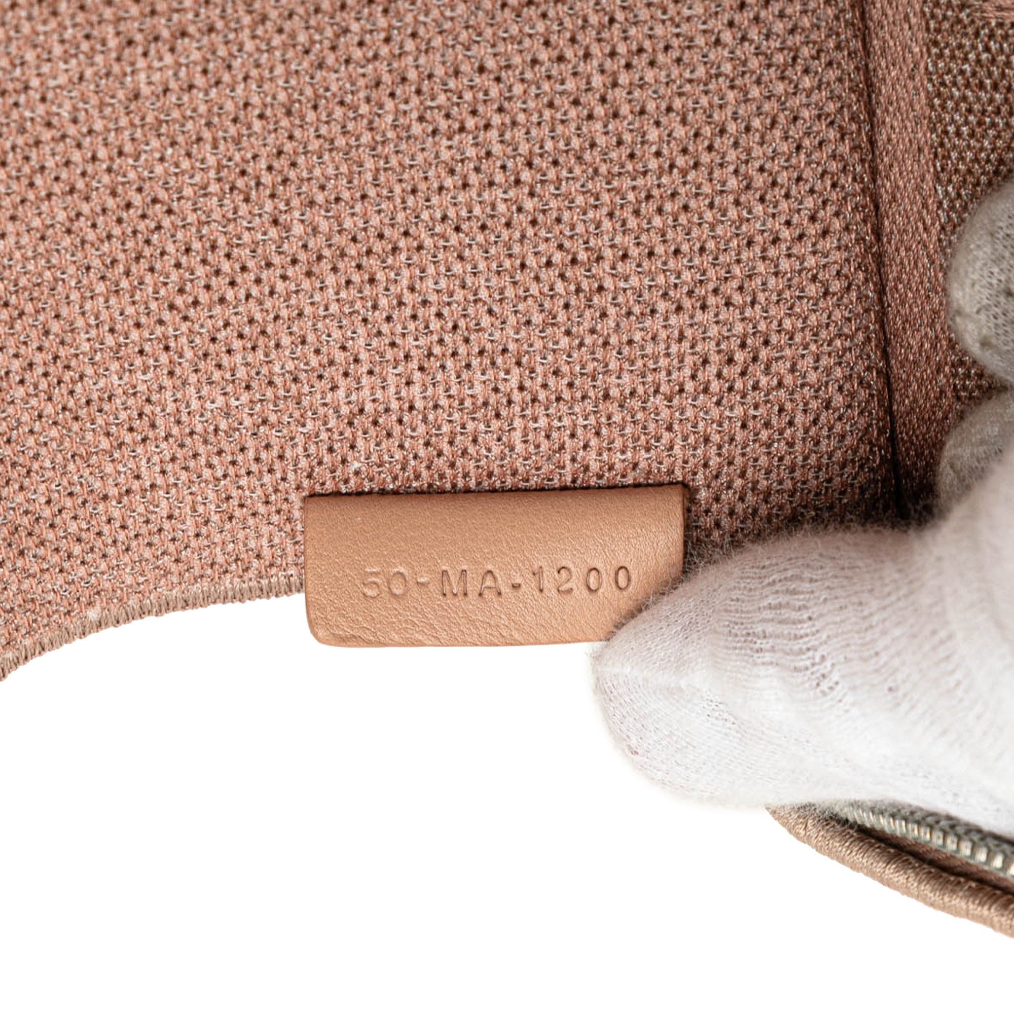 Mesh Embroidered Diortravel Vanity Case