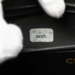 Caviar CC Turnlock Vanity Bag
