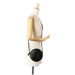 Chevron Calfskin Round Vinyle Camera Bag