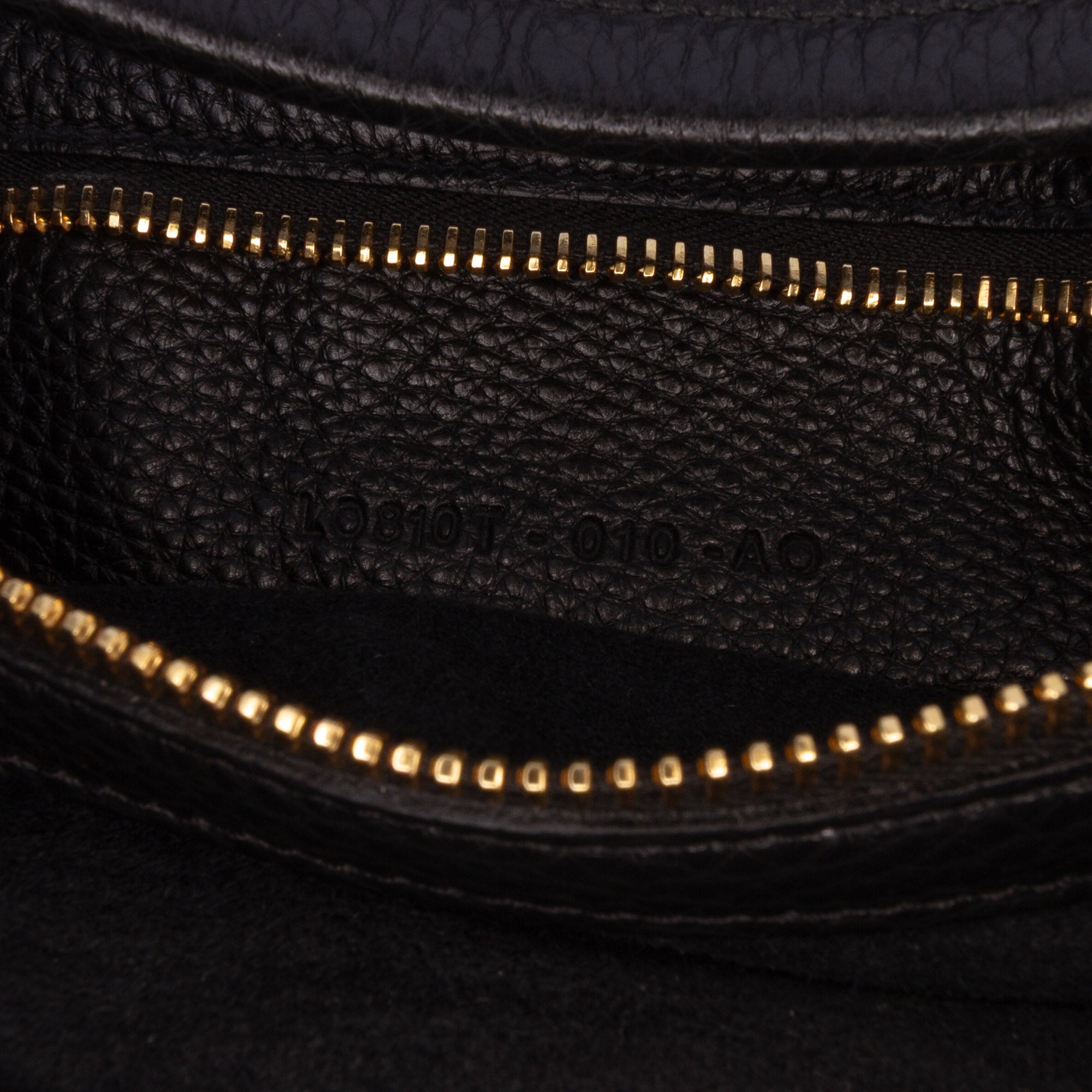 Small Grained Calfskin Alix Hobo
