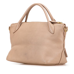 Vitello Daino Zip Top Satchel