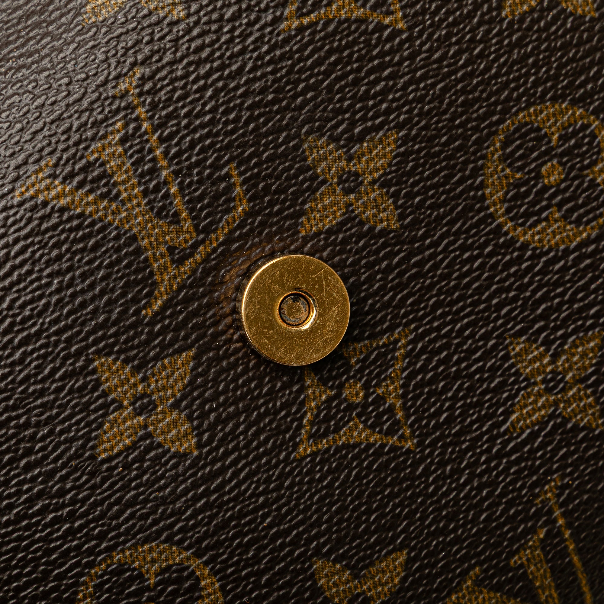 Monogram Mini Looping