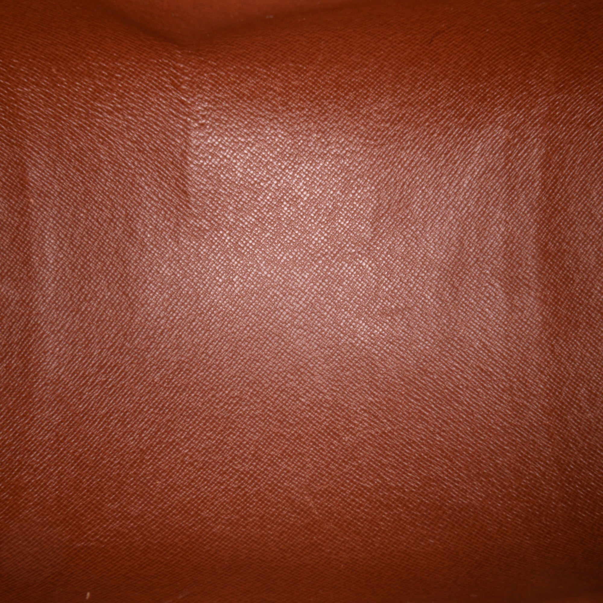 Monogram Papillon 30