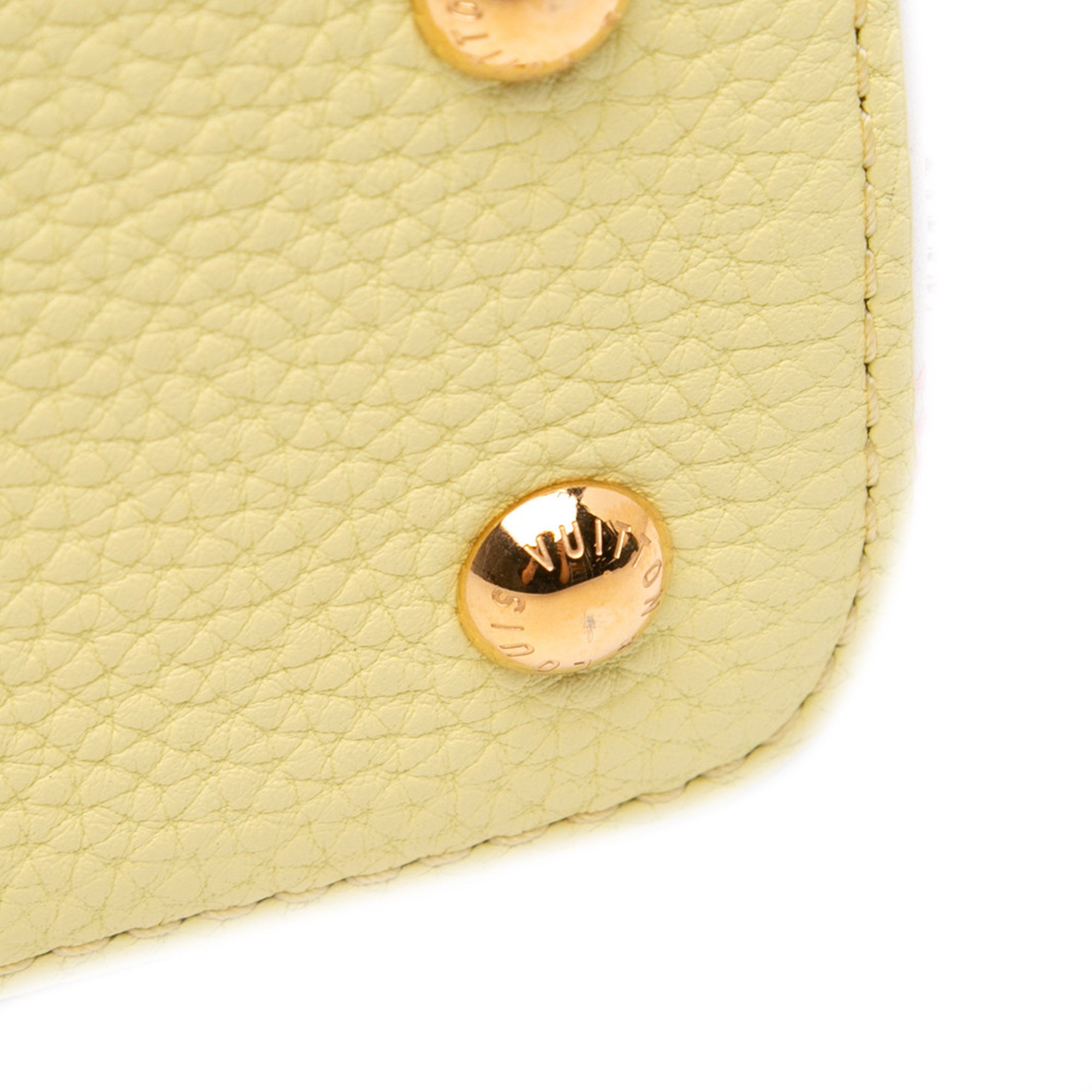 Smooth Calfskin Beaded Mini Capucines