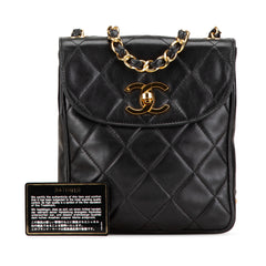 CC Quilted Lambskin Crossbody