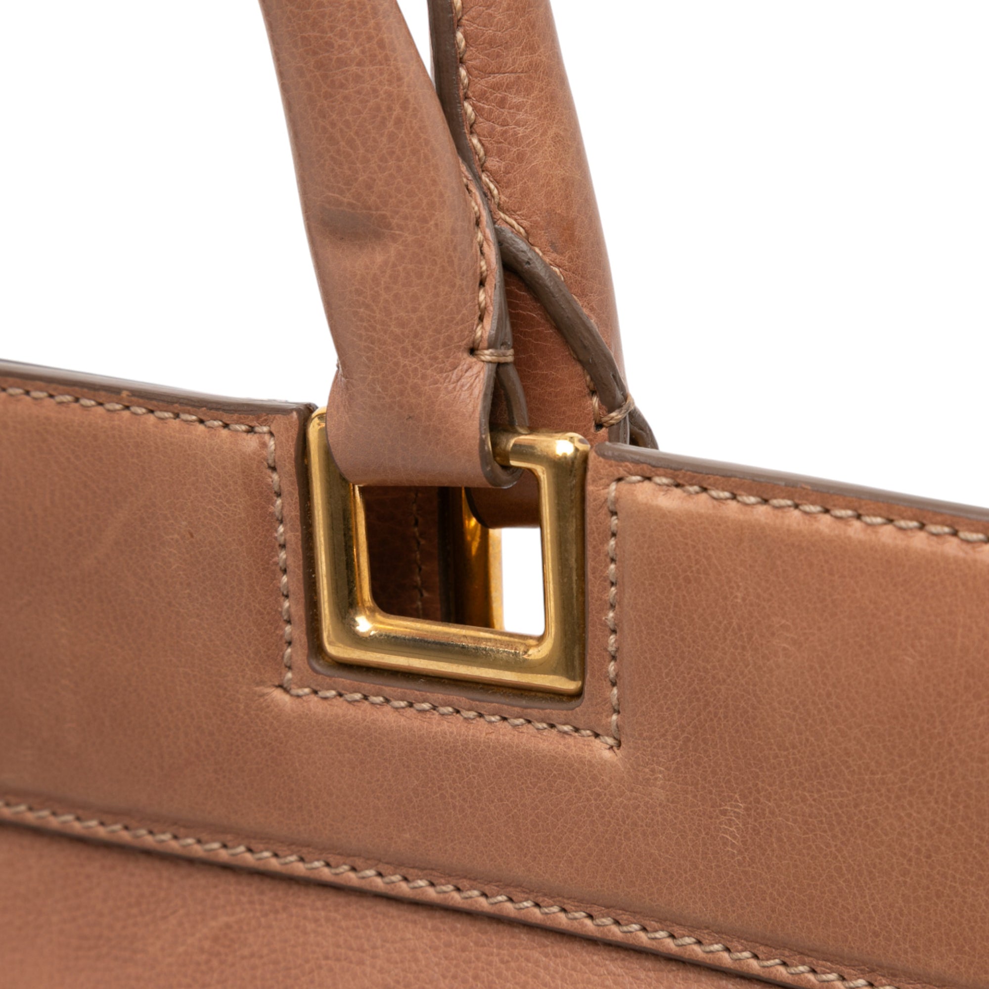 Glace Calf Frame Satchel