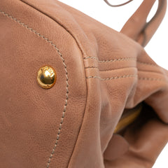 Glace Calf Frame Satchel