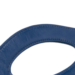 Small Bicolor Aged Calfskin 31 Pouch