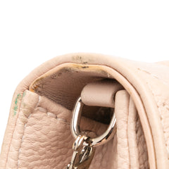 Grained Calfskin Diorama Wallet on Chain