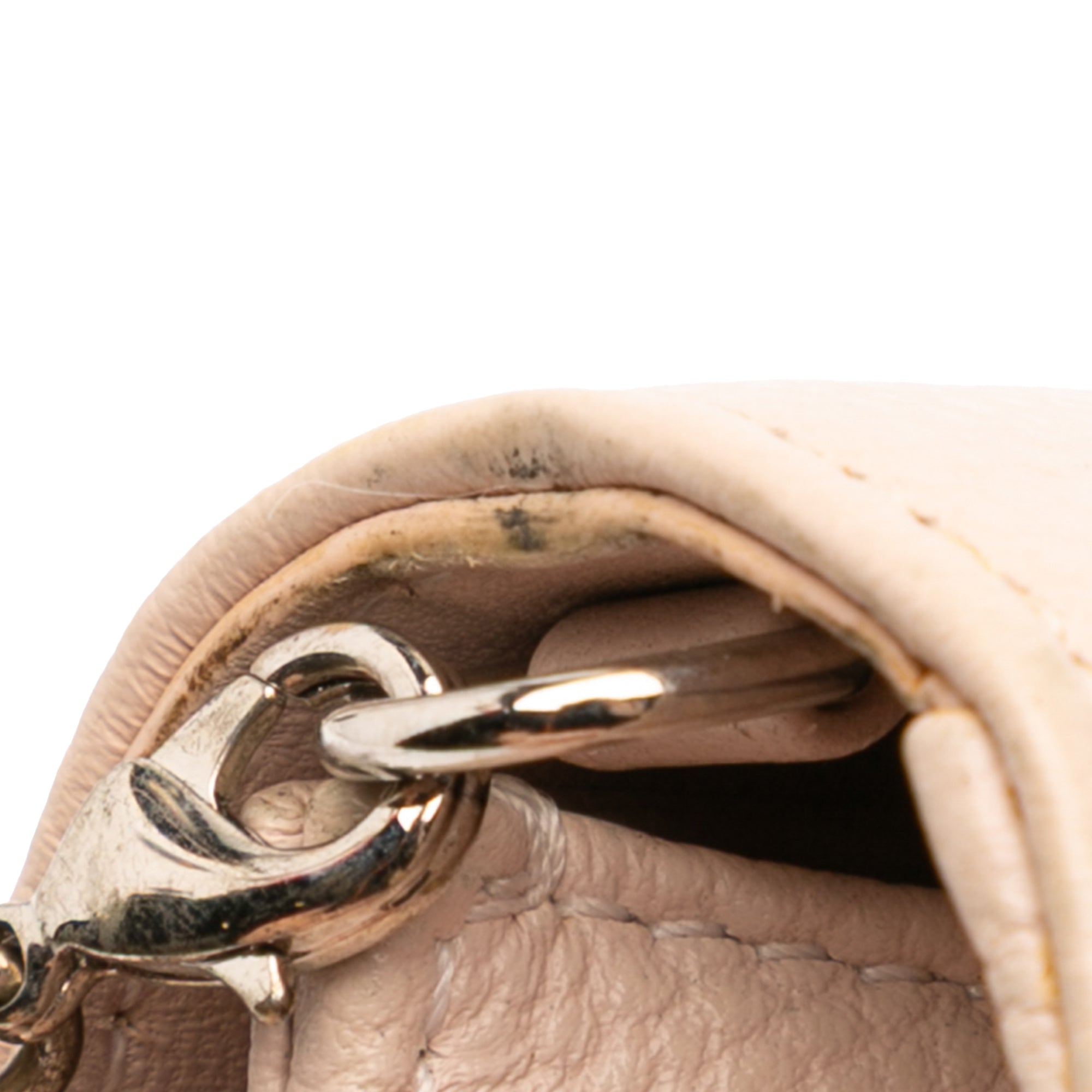 Grained Calfskin Diorama Wallet on Chain