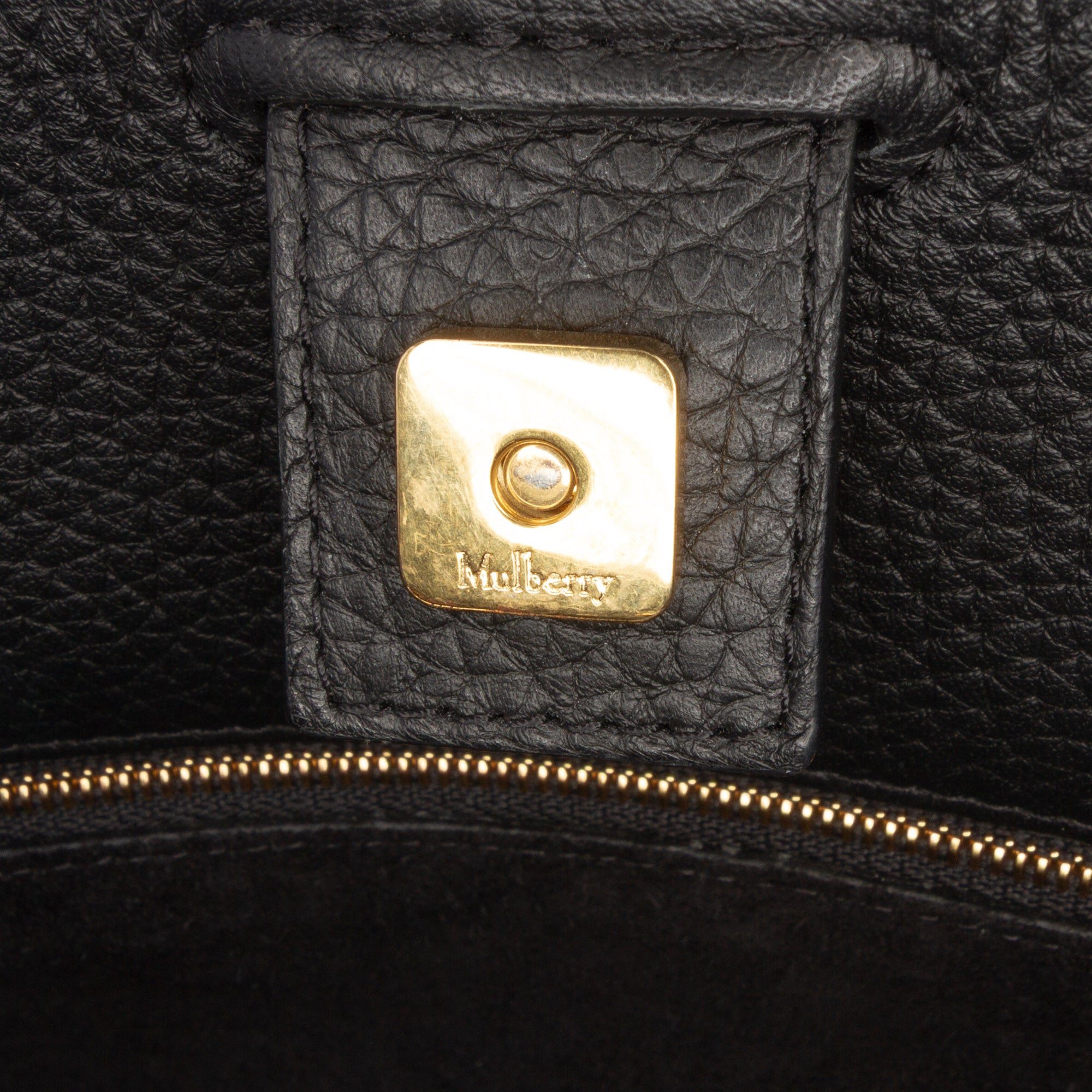 Heavy Grain Calfskin Iris Satchel