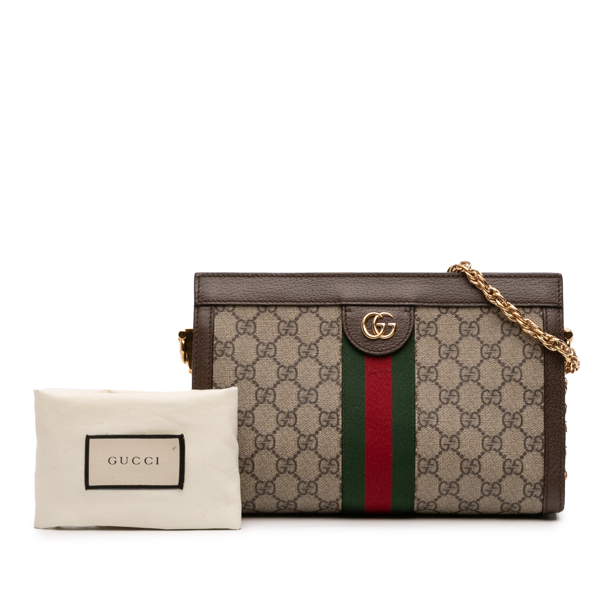 Small GG Supreme Web Ophidia Chain Crossbody