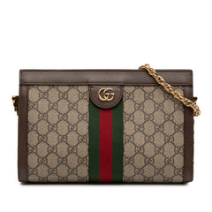 Small GG Supreme Web Ophidia Chain Crossbody