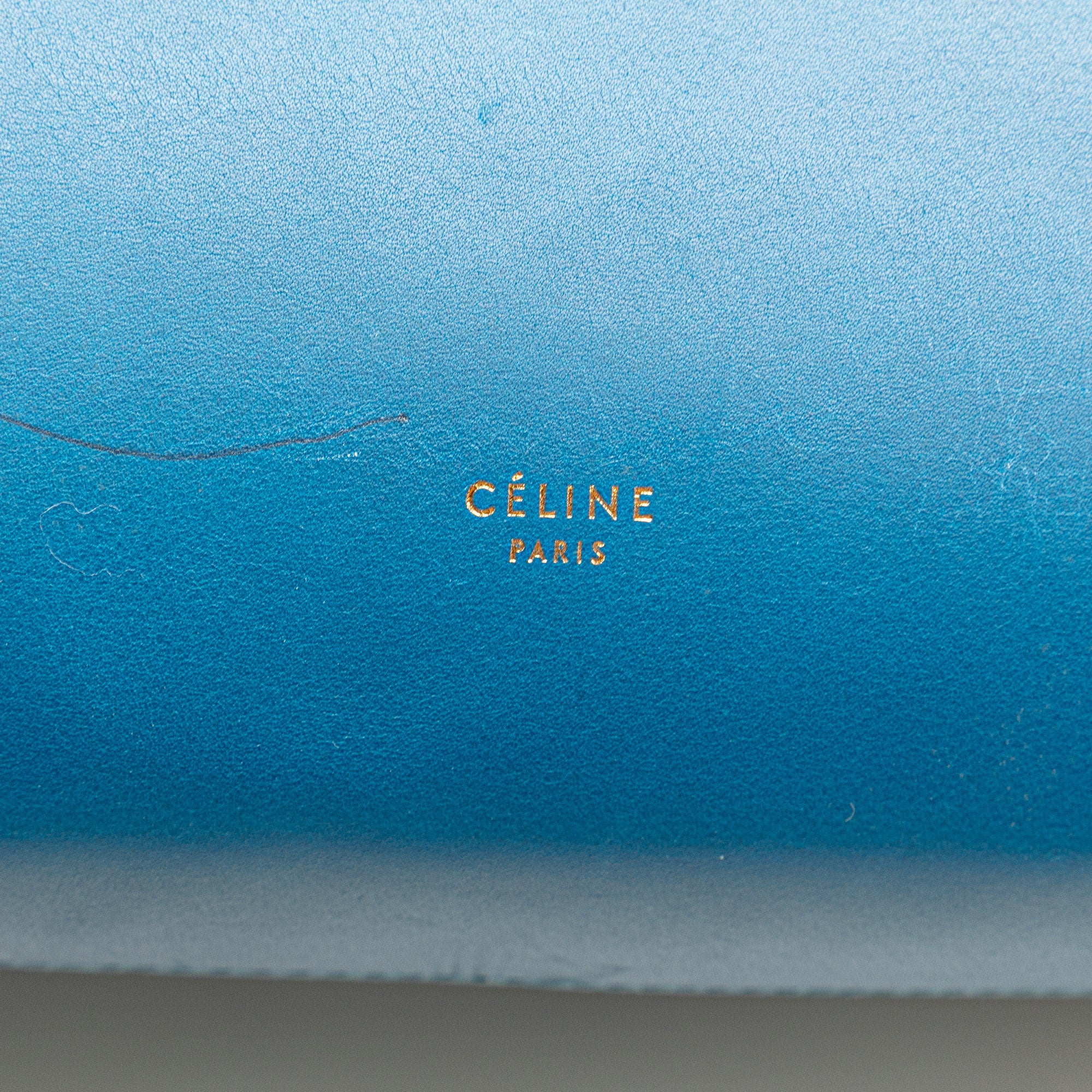 Mini Tricolor Smooth Calfskin Belt Bag