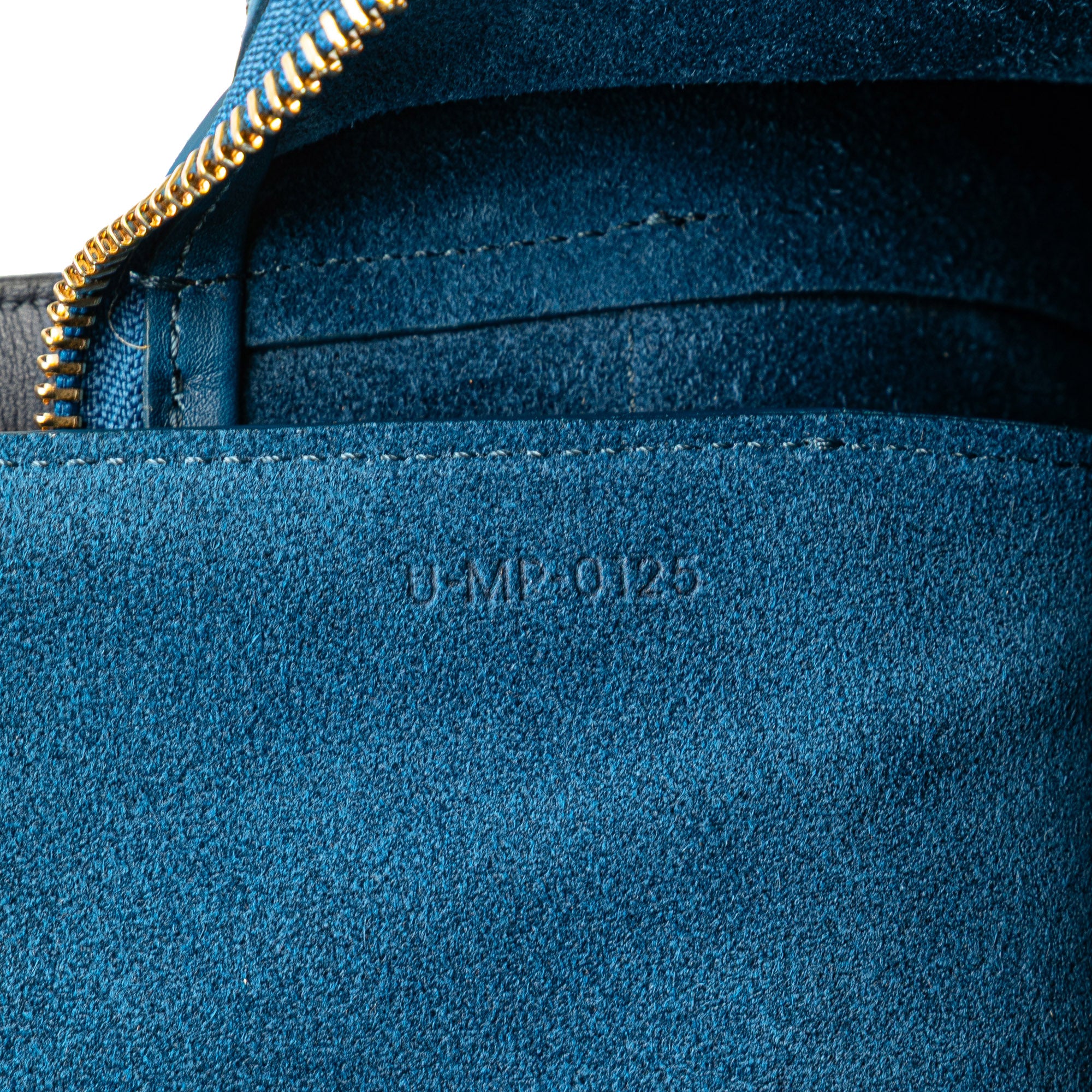 Mini Tricolor Smooth Calfskin Belt Bag