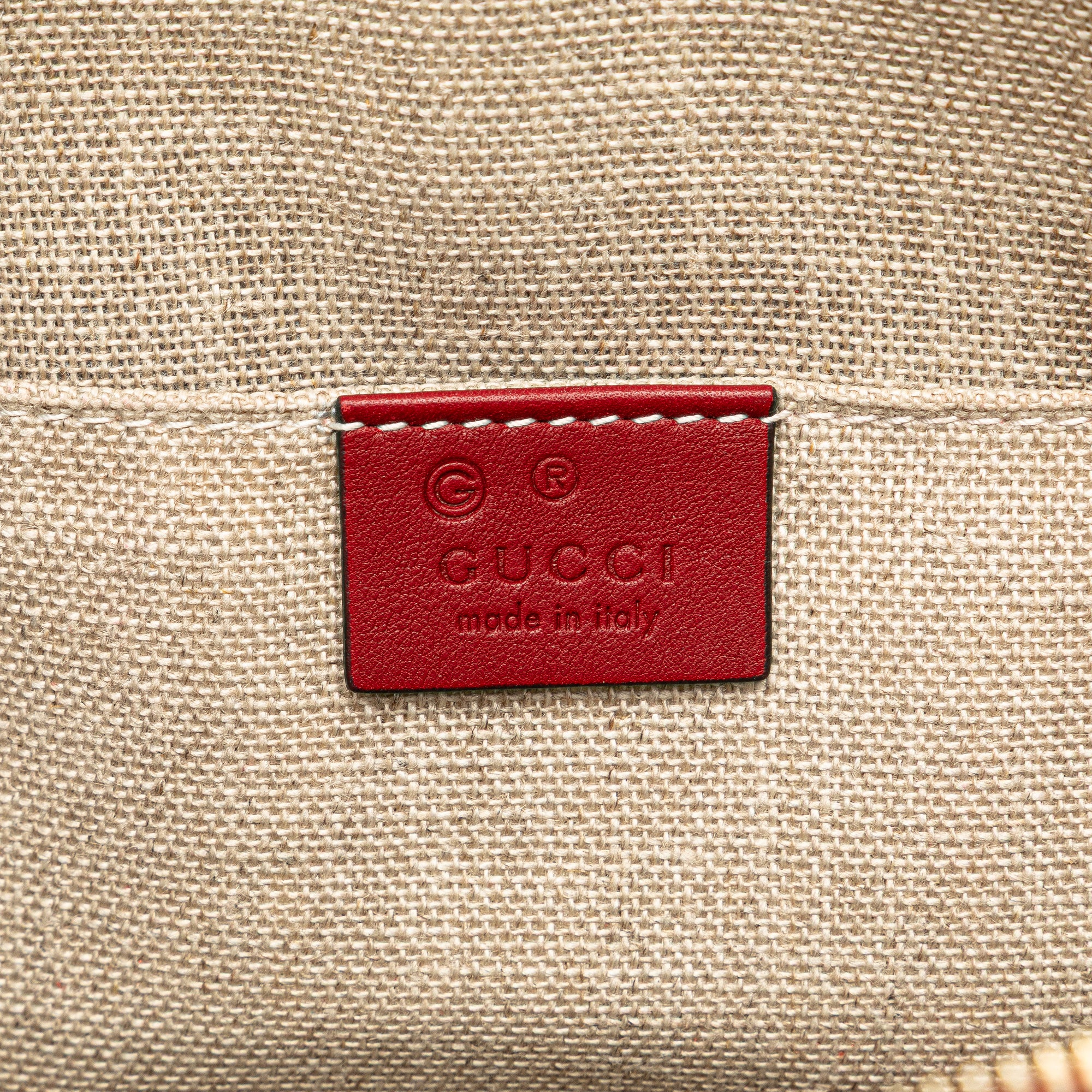 Mini Microguccissima Dome Satchel