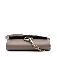 Mini Calfskin and Suede Faye Chain Crossbody