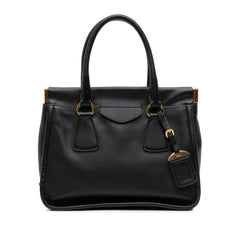 Saffiano Lucido Top Handle Frame Tote