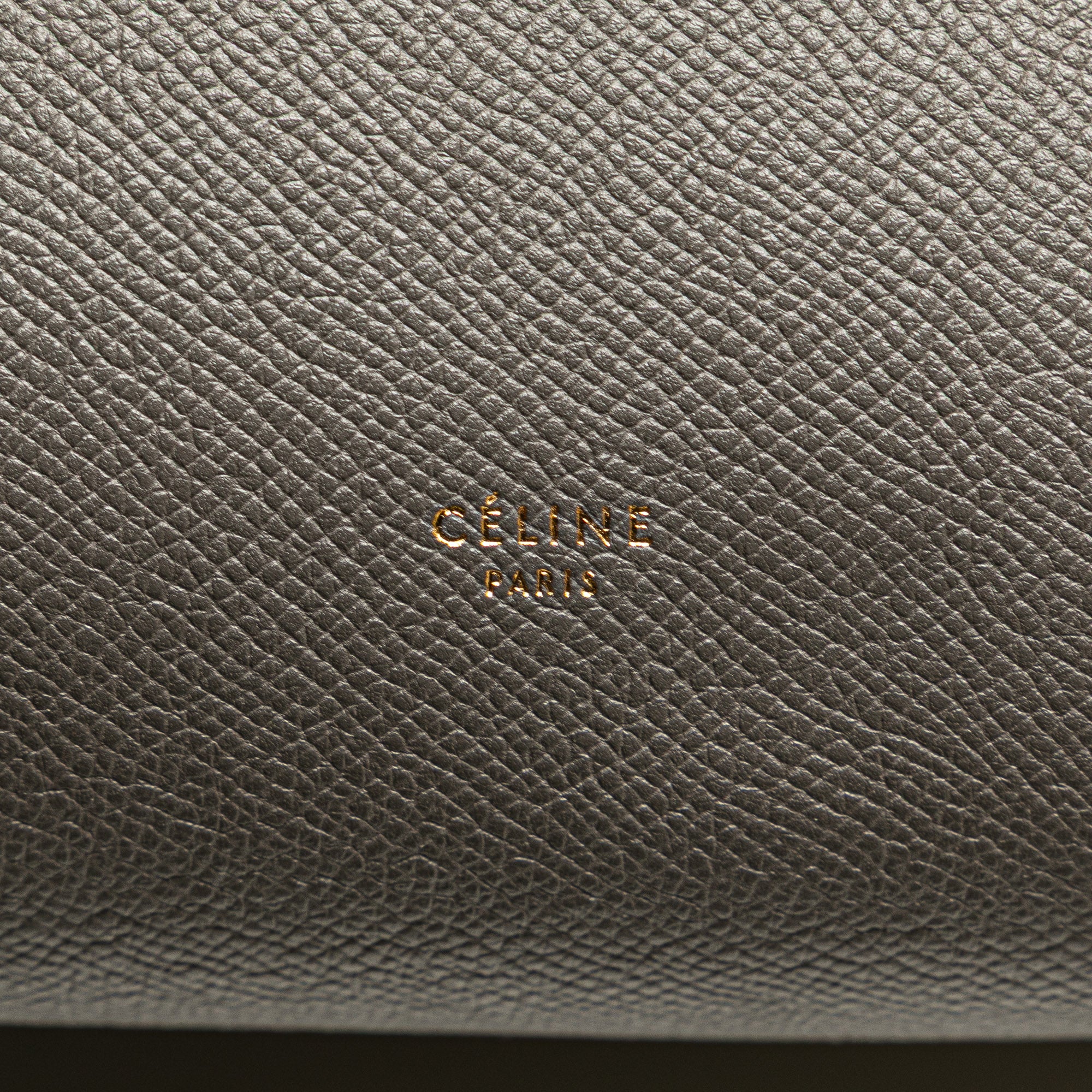 Mini Grained Calfskin Belt Bag