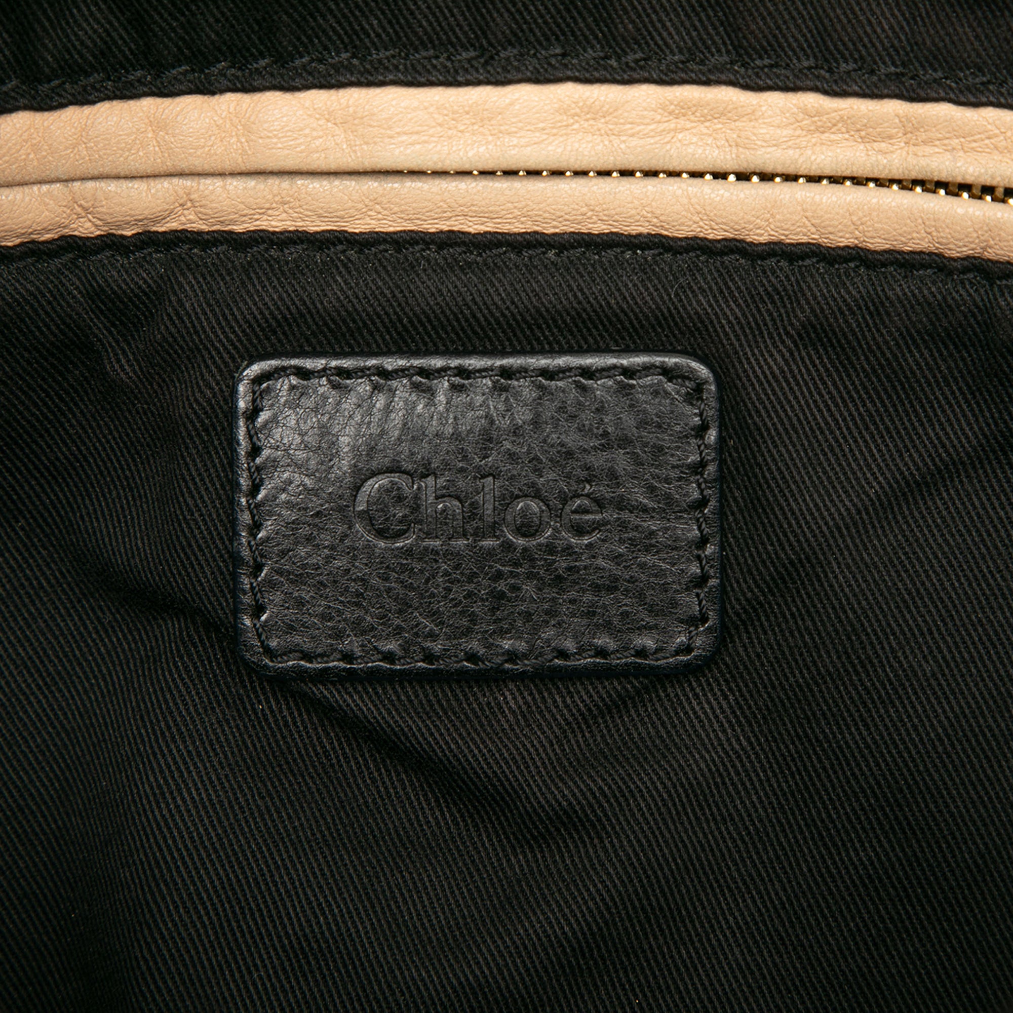 Large Pebbled Leather Paraty Satchel