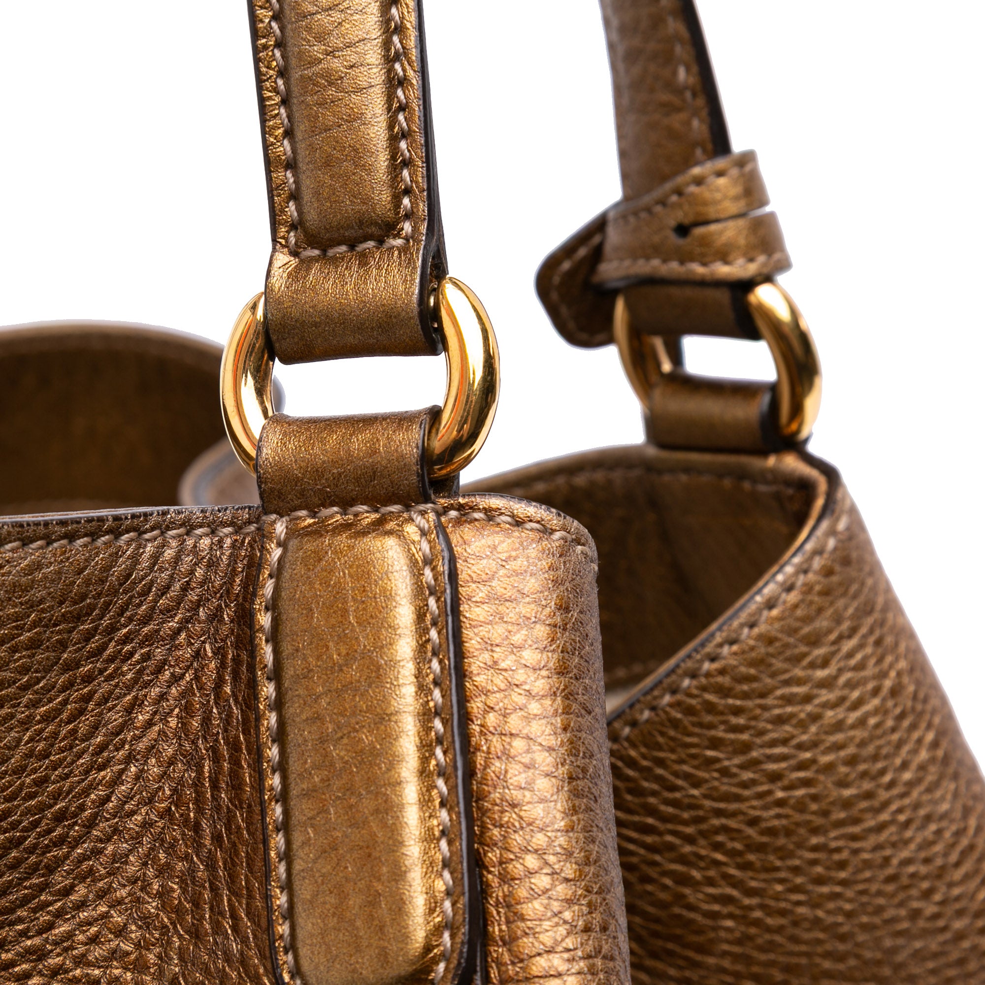 Medium Leather Ombre Soho Cellarius Tote
