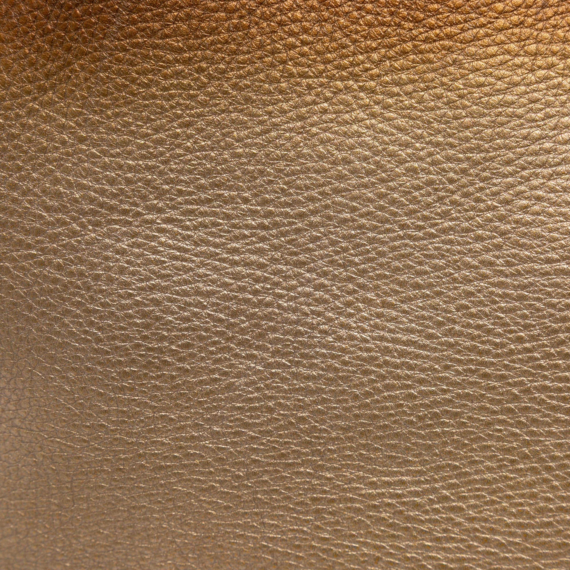 Medium Leather Ombre Soho Cellarius Tote