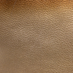 Medium Leather Ombre Soho Cellarius Tote