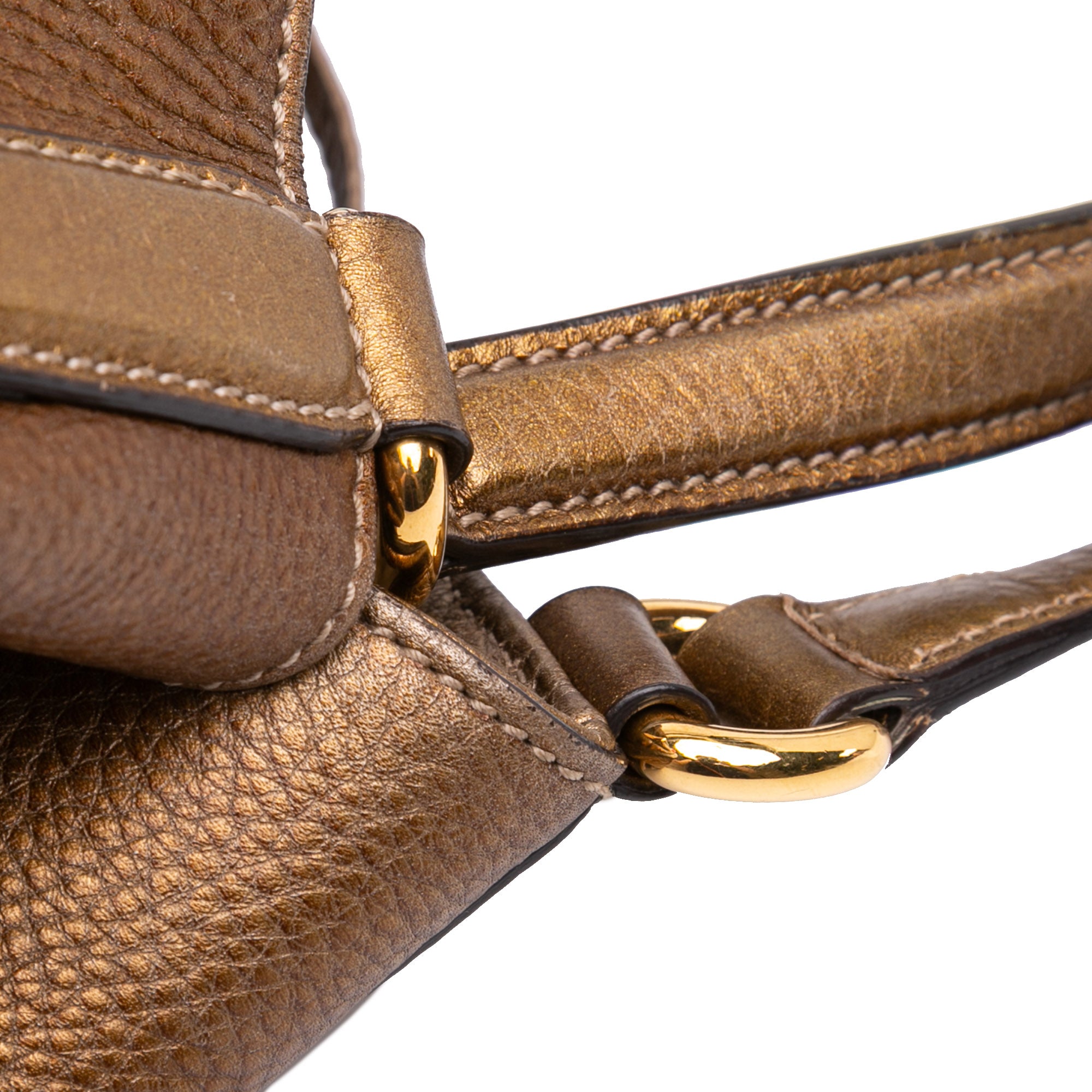 Medium Leather Ombre Soho Cellarius Tote