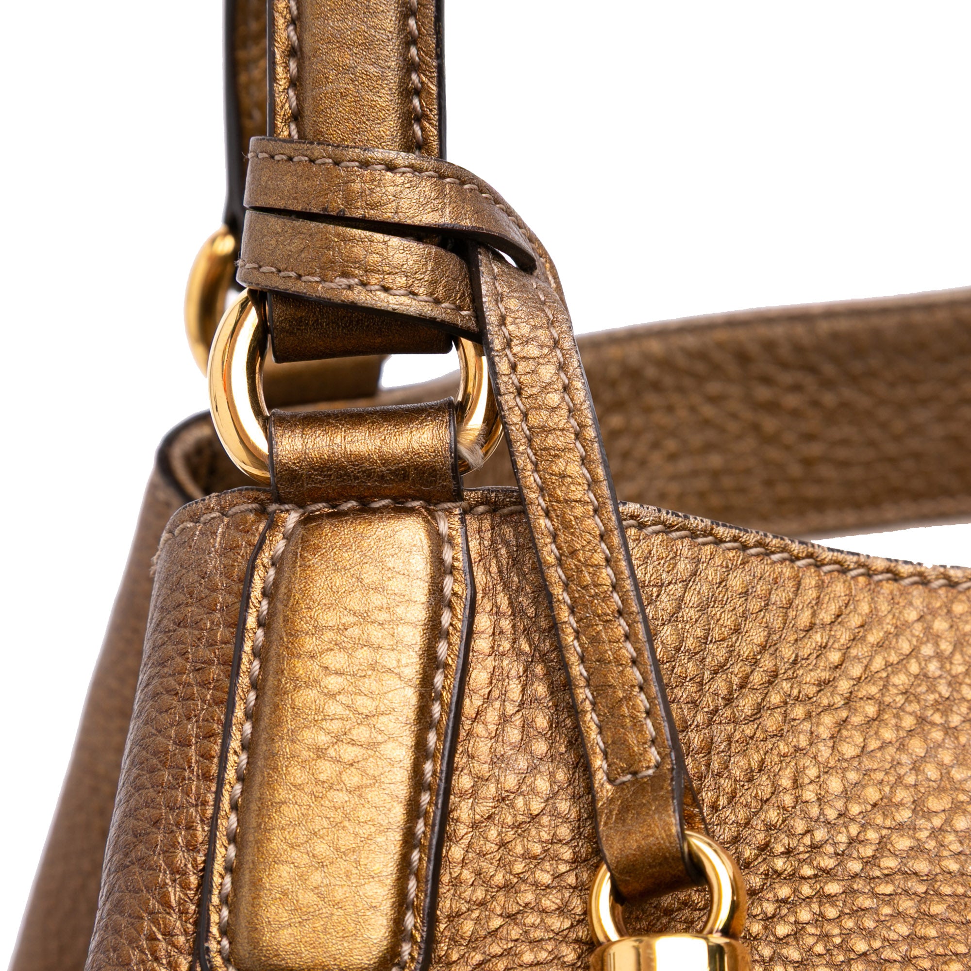 Medium Leather Ombre Soho Cellarius Tote