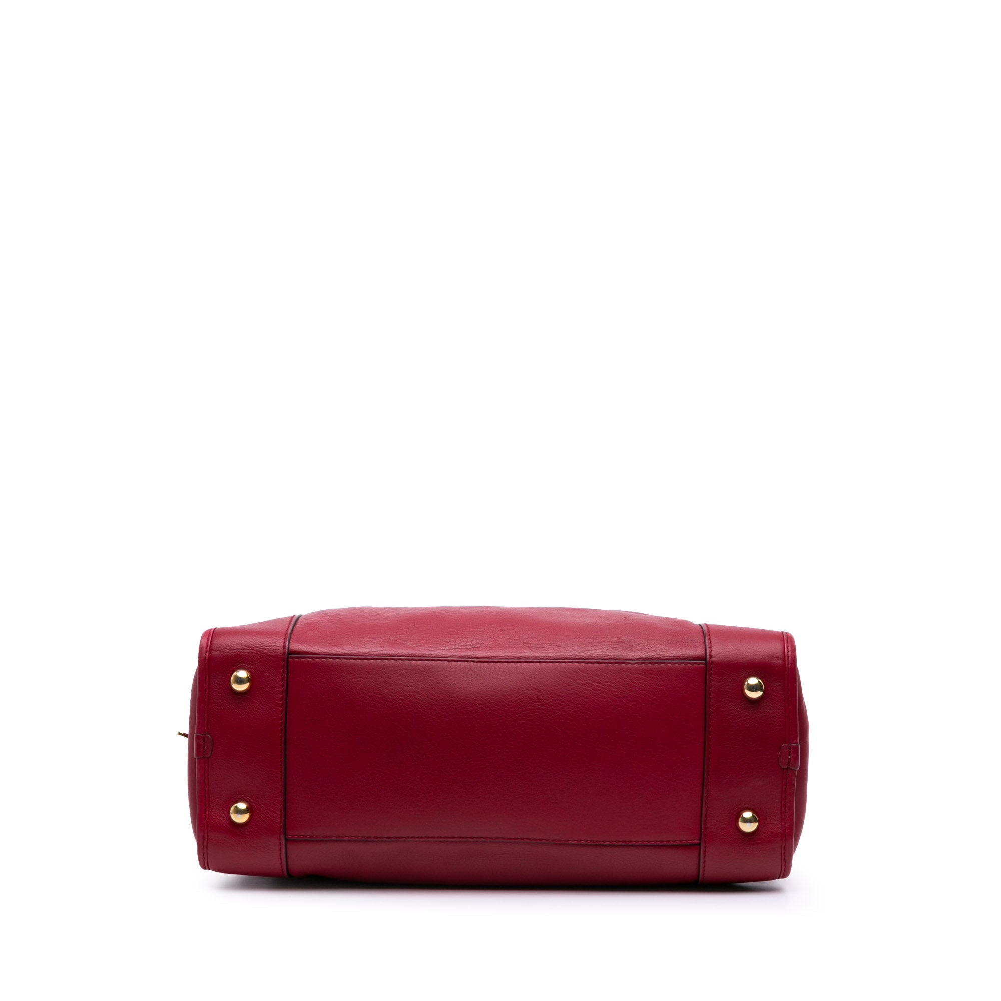 Special Edition Bicolor Leather Amazona 36