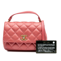 Quilted Metallic Calfskin Top Handle Flap