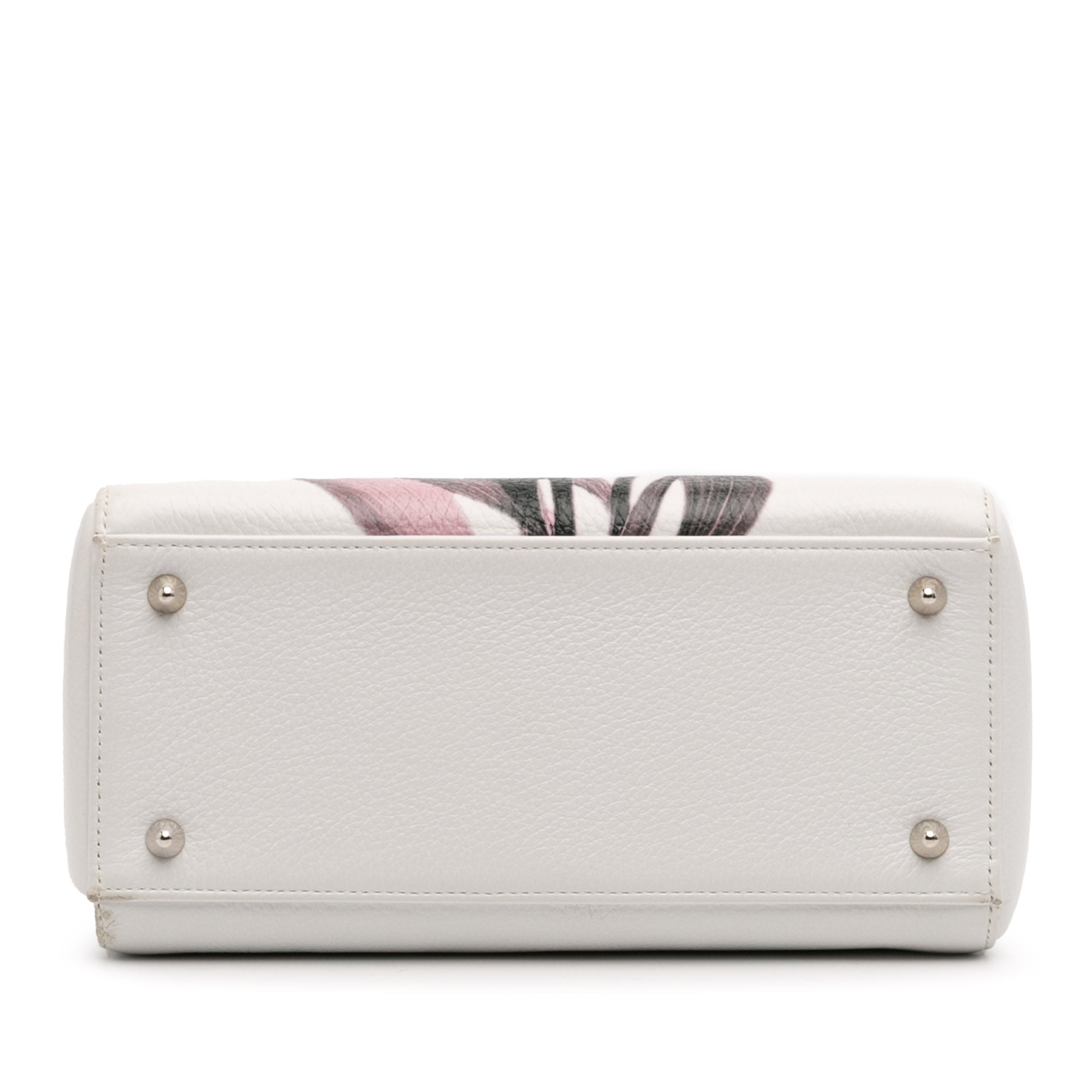 Medium Deerskin Floral Printed Lady Dior