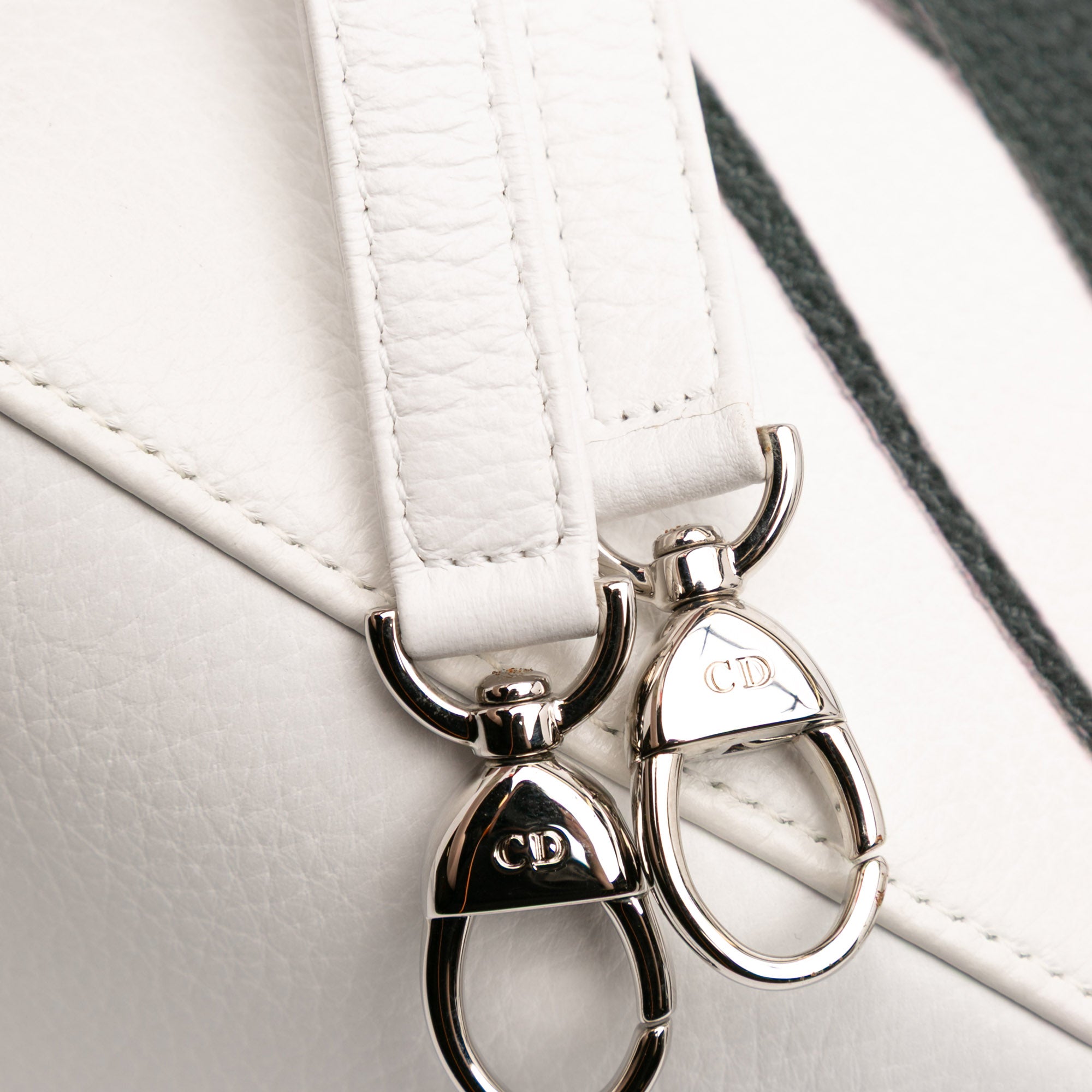Medium Deerskin Floral Printed Lady Dior