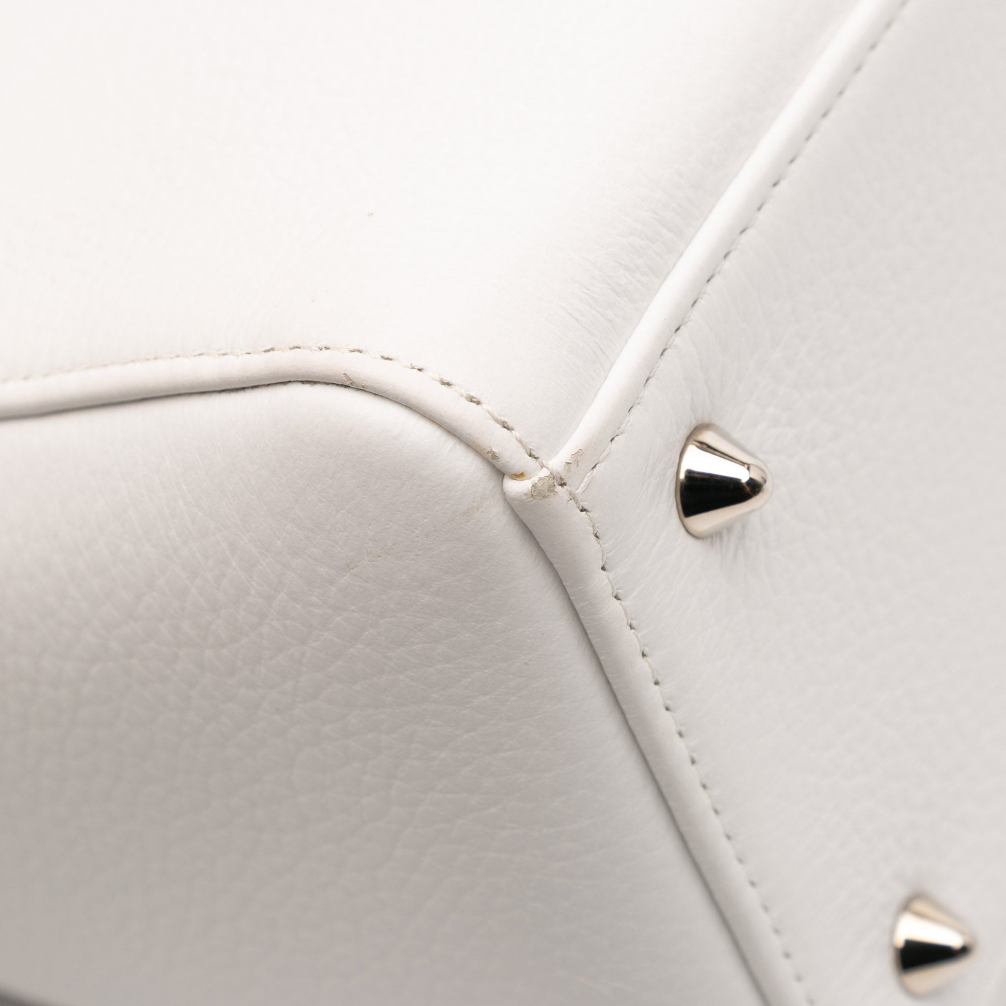 Medium Deerskin Floral Printed Lady Dior