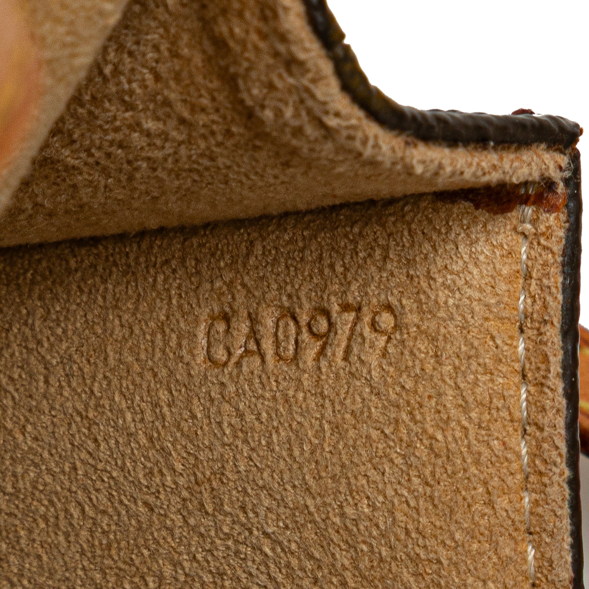Monogram Pochette Twin PM