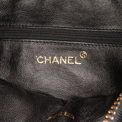 CC Quilted Lambskin Diamond Tassel Camera Bag_5