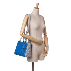 Medium Bicolor Lambskin Cannage Lady Dior