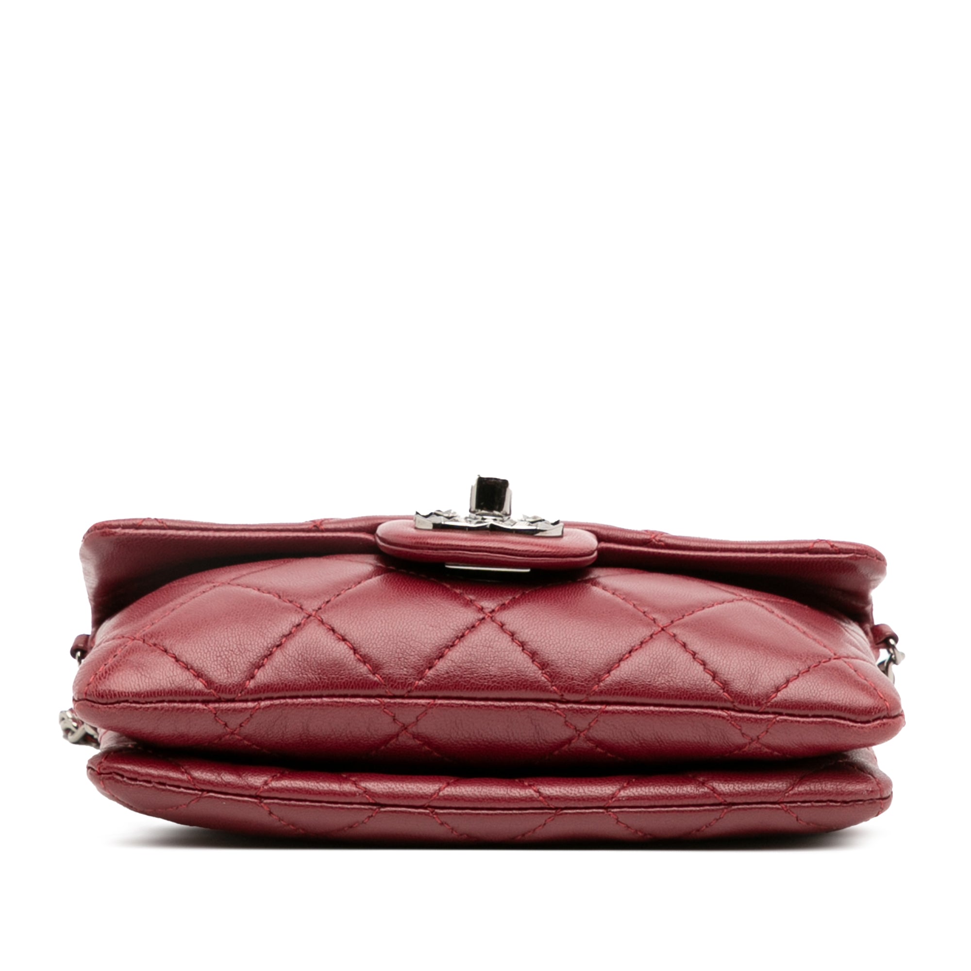 Mini Lambskin Mineral Nights Flap