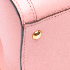 Mini Calfskin Bamboo Diana Satchel